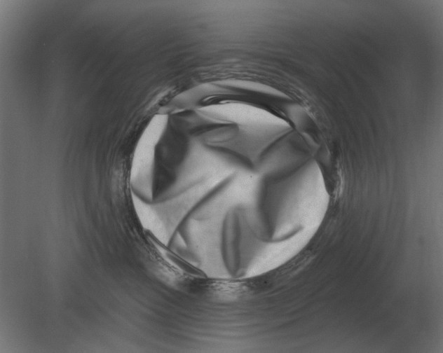 X0000080720333200701121850