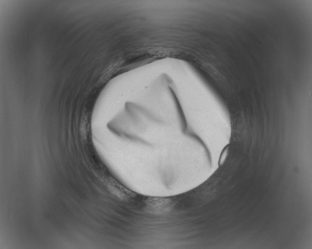 X0000080720334200701121850