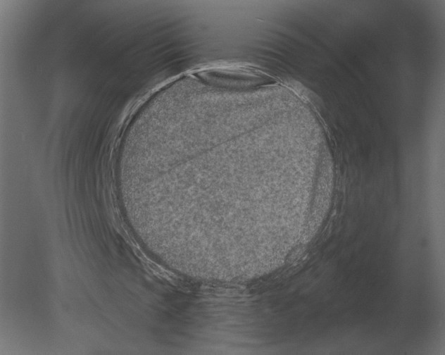 X0000080720337200701121849