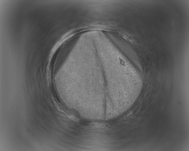 X0000080720343200701121849