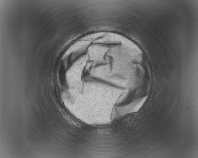 X0000080720345200701121849