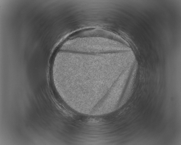 X0000080720346200701121849