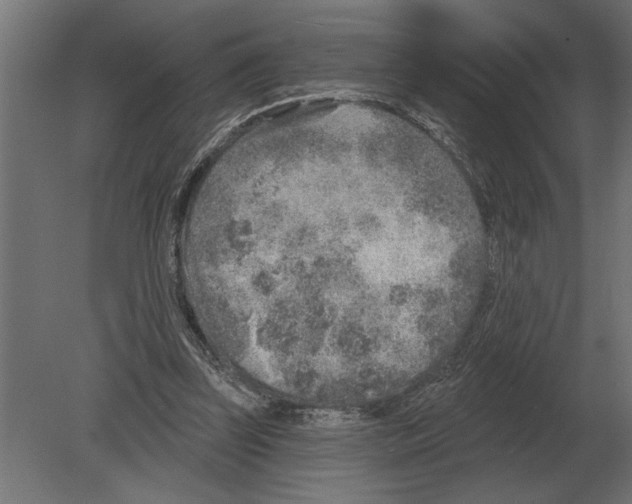 X0000080720347200701121849