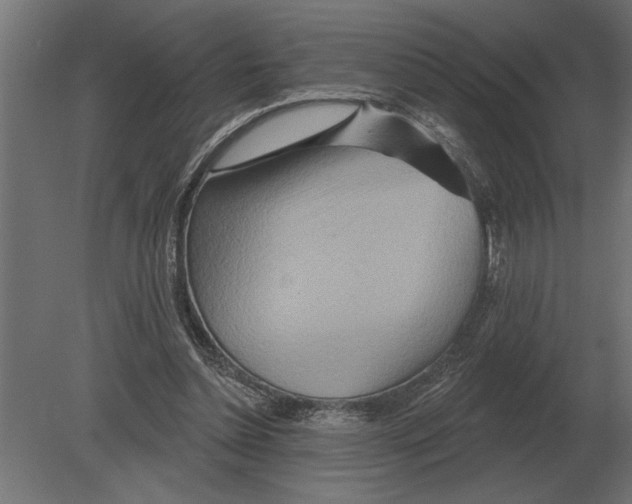 X0000080720348200701121849