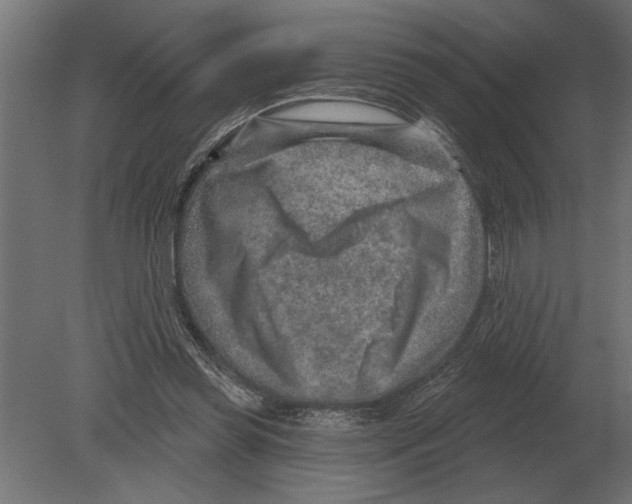 X0000080720349200701121849