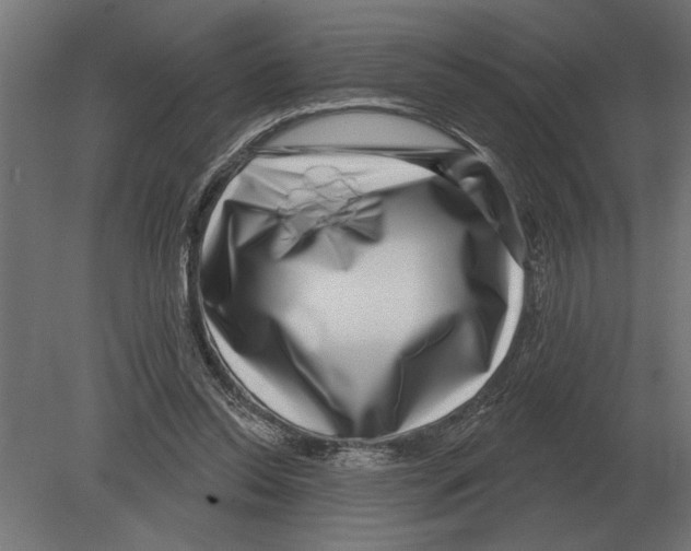 X0000080720350200701121849