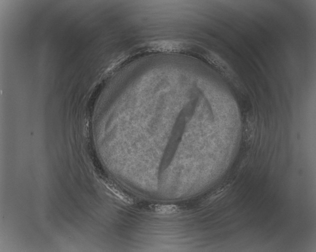 X0000080720355200701121849