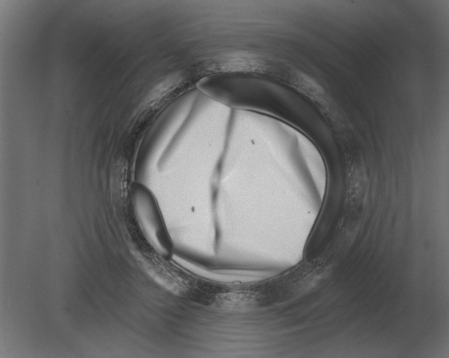 X0000080720356200701121849