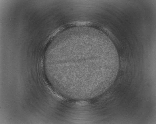 X0000080720357200701121849