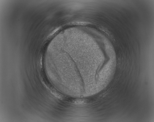 X0000080720358200701121850