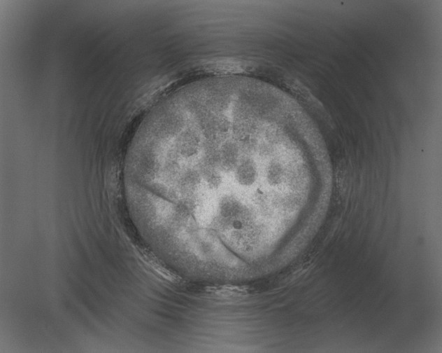 X0000080720359200701121850