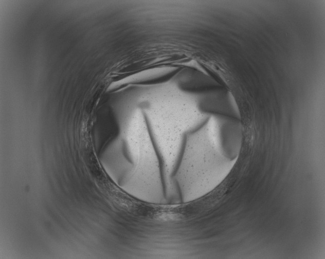 X0000080720360200701121850