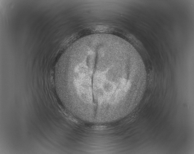 X0000080720361200701121850