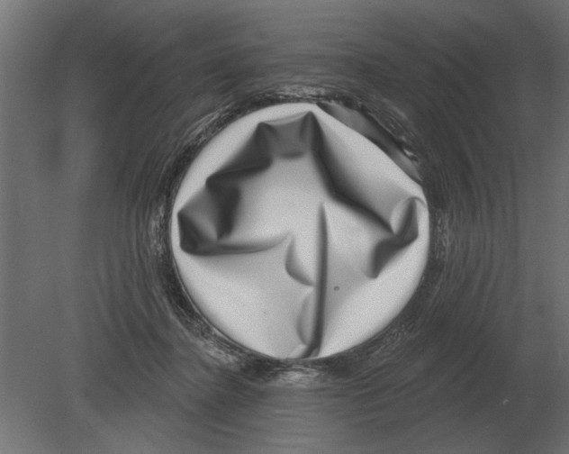 X0000080720364200701121850