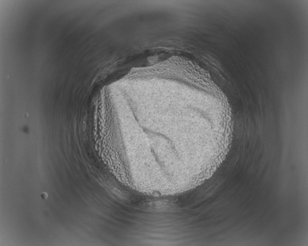 X0000080720365200701121850