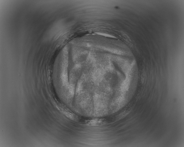 X0000080720366200701121850