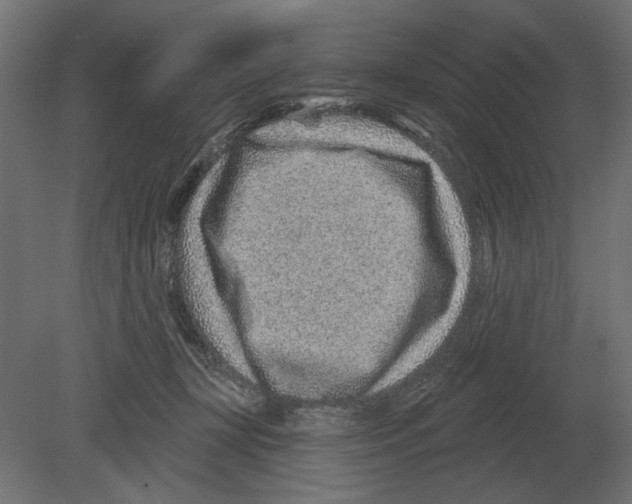 X0000080720367200701121850