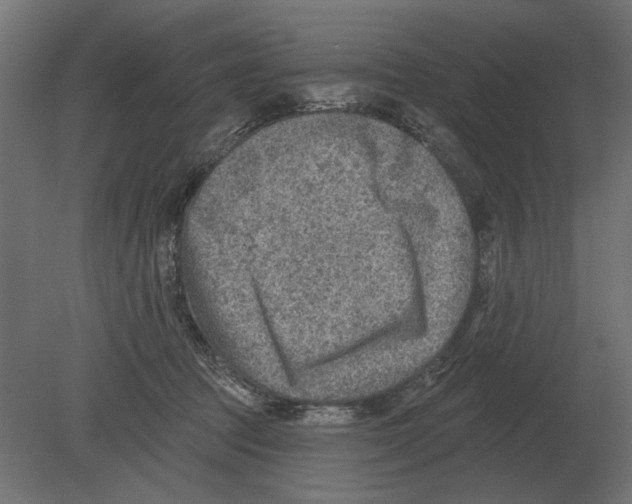 X0000080720369200701121850