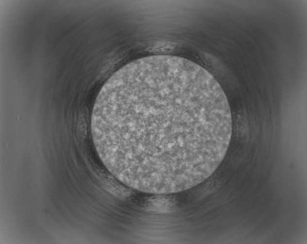 X0000080720370200701121850