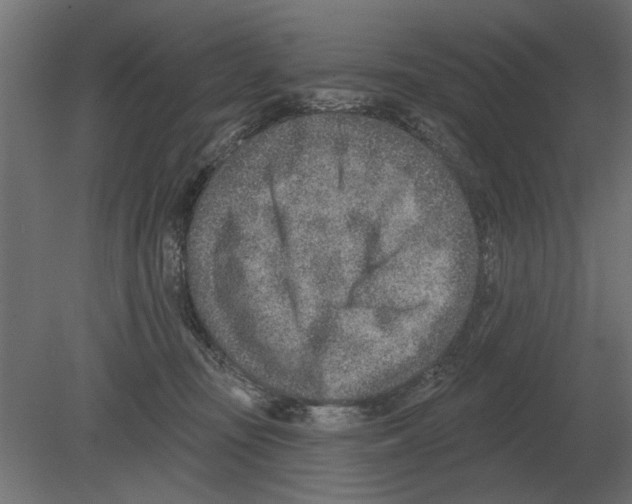 X0000080720371200701121850