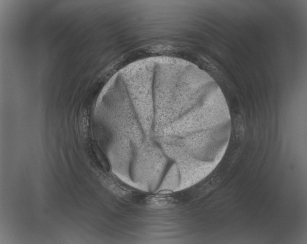 X0000080720372200701121850