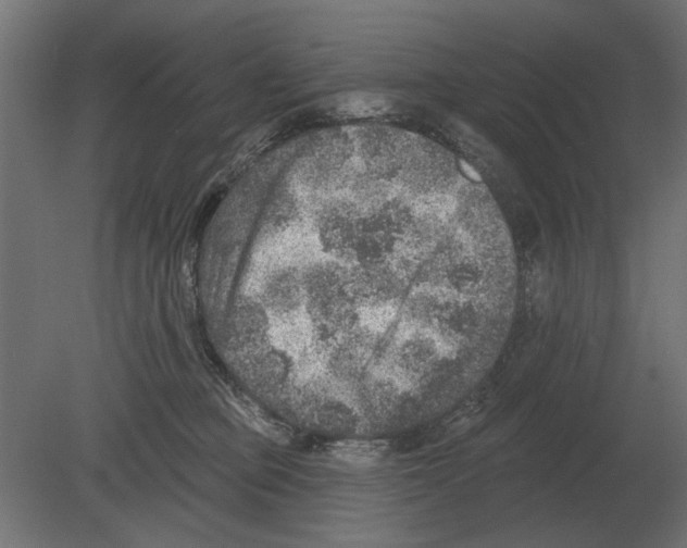 X0000080720373200701121850