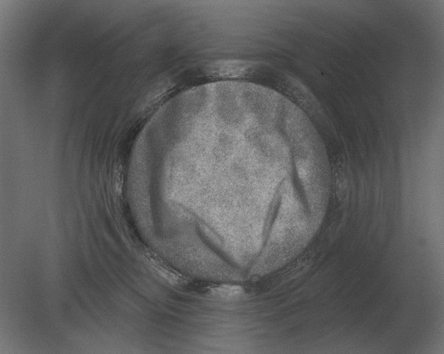 X0000080720374200701121850