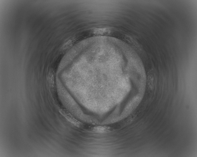 X0000080720375200701121850