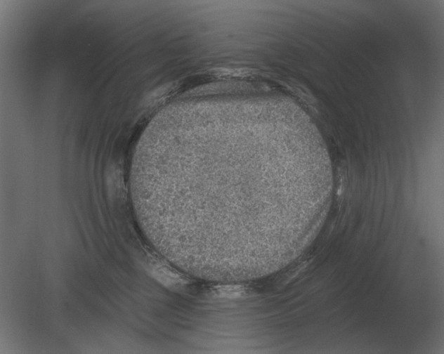 X0000080720377200701121850