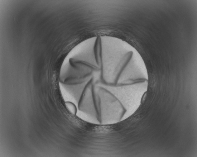 X0000080720378200701121850