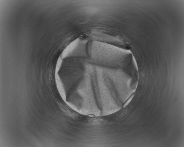 X0000080720379200701121850