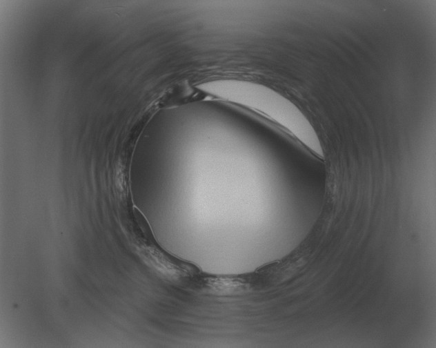 X0000080720380200701121850