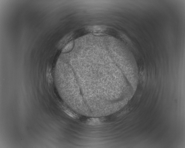 X0000080720381200701121850