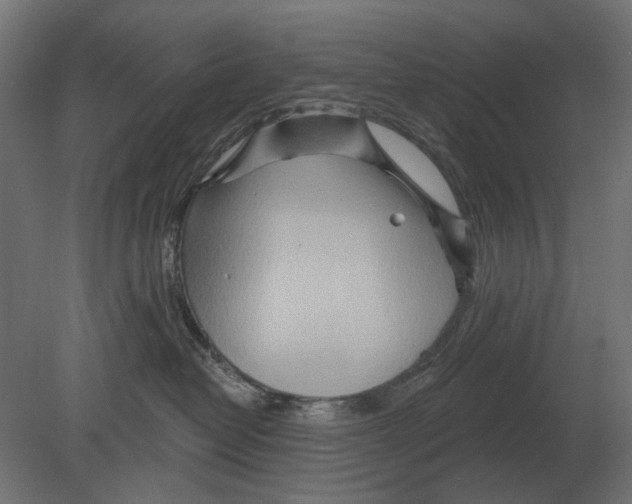 X0000080720382200701121850