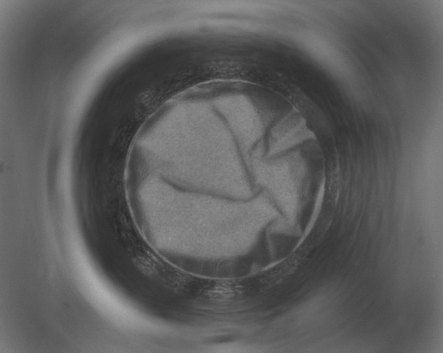 X0000080720383200701121850