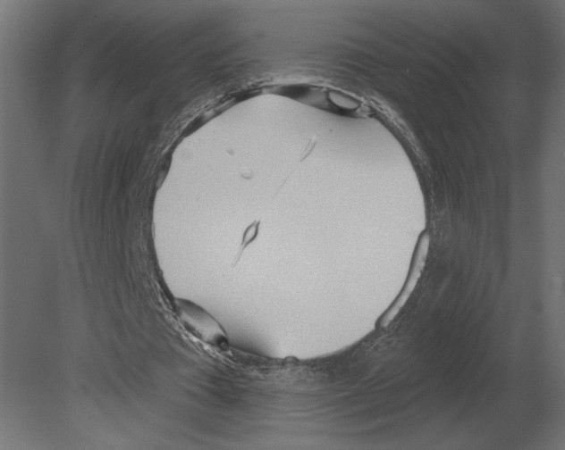 X0000080720385200701121849