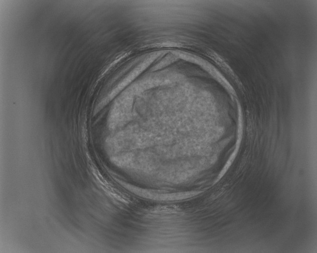 X0000080720386200701121849