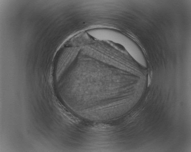 X0000080720387200701121849