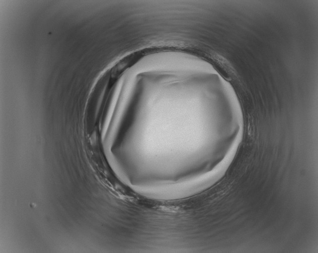 X0000080720388200701121849