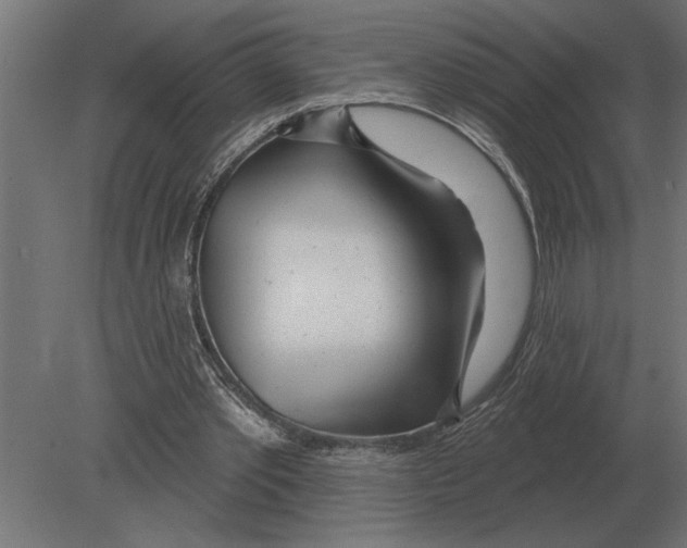 X0000080720389200701121849