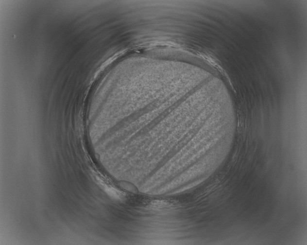 X0000080720390200701121849