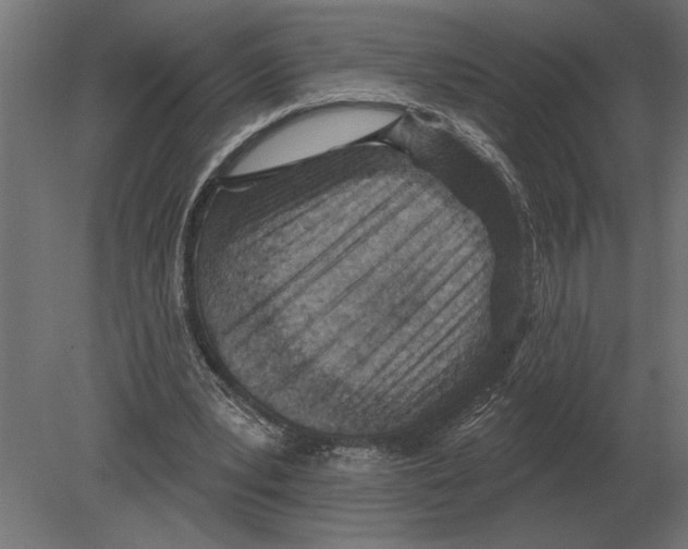 X0000080720391200701121849