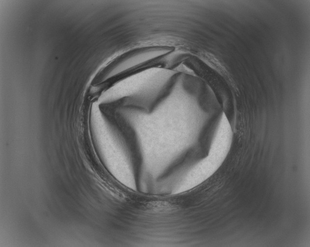 X0000080720392200701121849