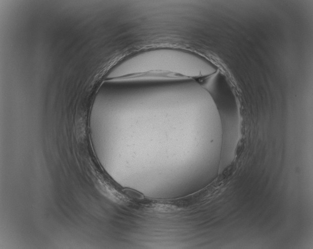 X0000080720393200701121849