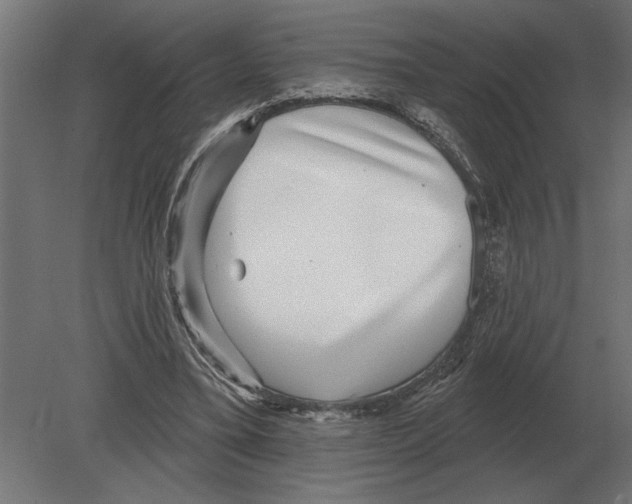 X0000080720395200701121849