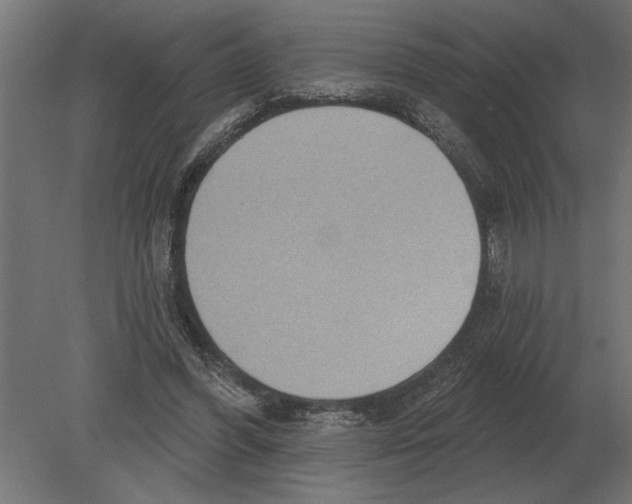 X0000080720396200701121849