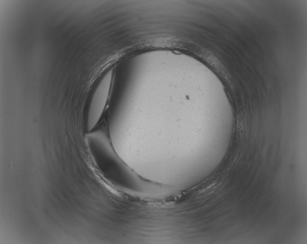 X0000080720397200701121849