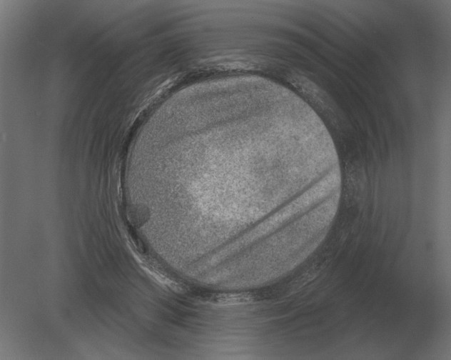 X0000080720398200701121849