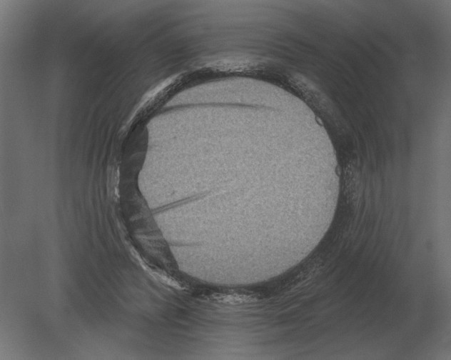 X0000080720400200701121849