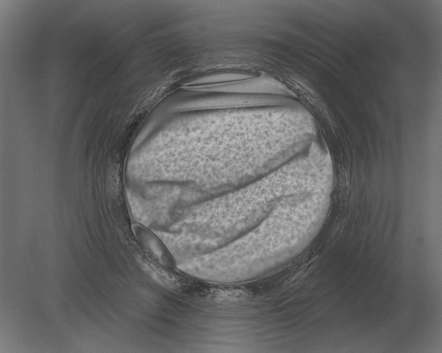 X0000080720401200701121849